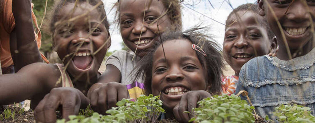 Kinder gucken sich den Anbau von Pflanzen an