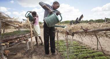 Mann und Frau bewässern ein Feld