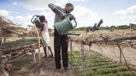 Mann und Frau bewässern ein Feld