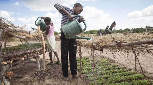 Mann und Frau bewässern ein Feld