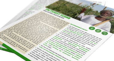 Vorschau des Factsheets zur Arbeit der Welthungerhilfe im Sudan