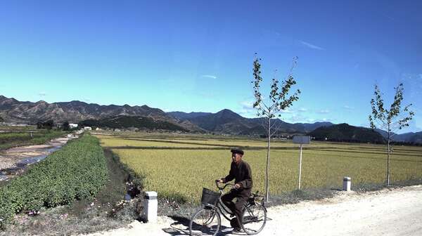 Mann auf einem Fahrrad