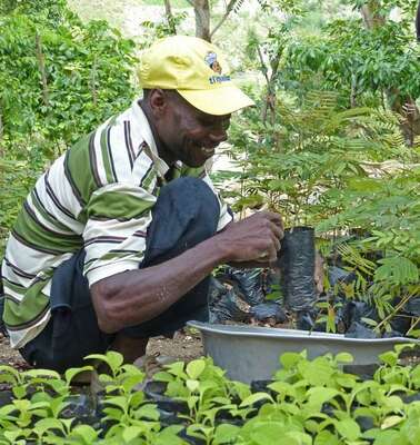 Menschen in Haiti unterstützen: Arbeit in einer Baumschule in Haiti.