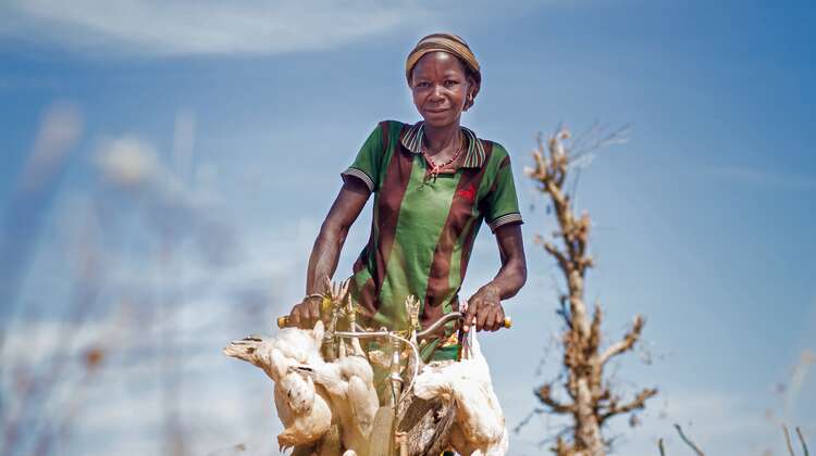 Eine Frau fährt auf einem Fahrrad und hat Hühner im Gepäck.