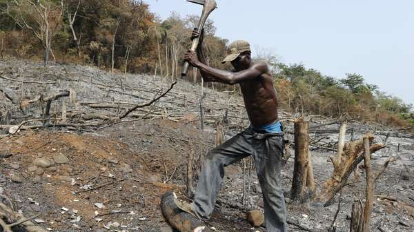 Ein Kleinbauer in Sierra Leone bei der Arbeit auf einem trockenen Feld