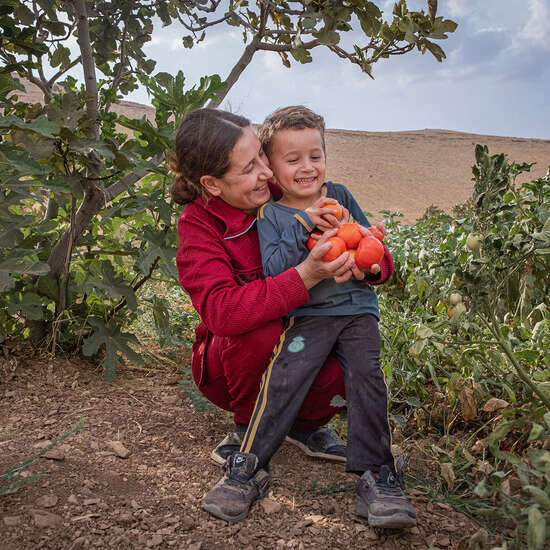Evin, 23, erntet mit ihrem kleinen Sohn selbst angebaute Tomaten im Irak