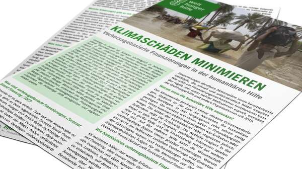 Teaserbild Factsheet Klimaschäden minimieren