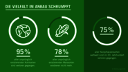 Grüne Grafik zum Thema Biodiversität. Text: Die Vielfalt im Anbau schrumpft. 95% aller ursprünglich existierenden Kohlsorten sind verloren gegangen. 78% aller ursprünglich existierenden Maissorten existieren nicht mehr. 75% aller Nutzpflanzensorten weltweit sind im 20. Jahrhundert verloren gegangen.