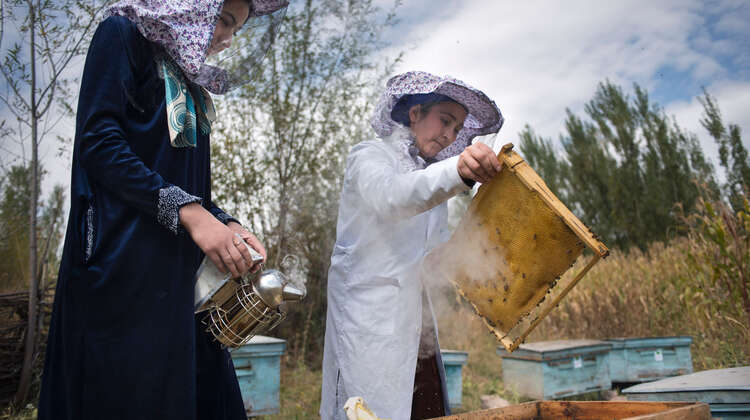 Imkerinnen in Tadschikistan