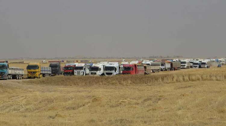 Hunderte Lastwagen stehen voll beladen neben den Feldern