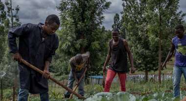 Studenten beim Gärtnern, Kenia.