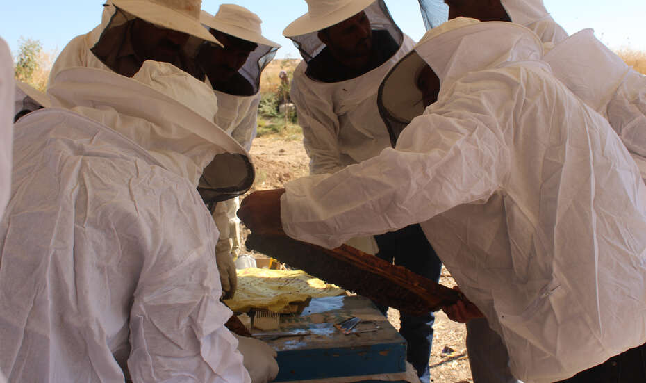 Menschen in weißen Imker-Anzügen. Einer hält eine Bienenwabe, die anderen schauen zu.