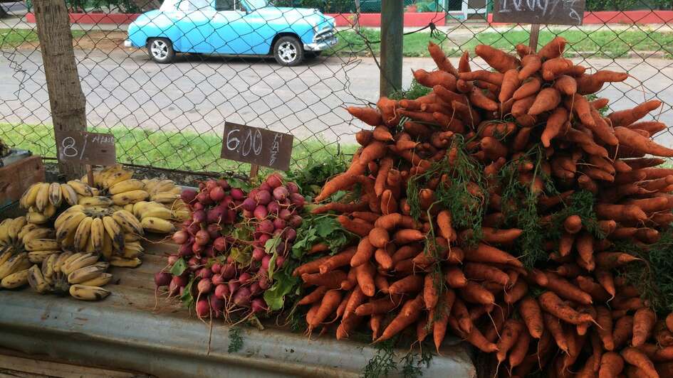 Ein Obst- und Gemüsestand