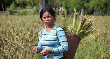 Frau mit Reisernte auf dem Rücken