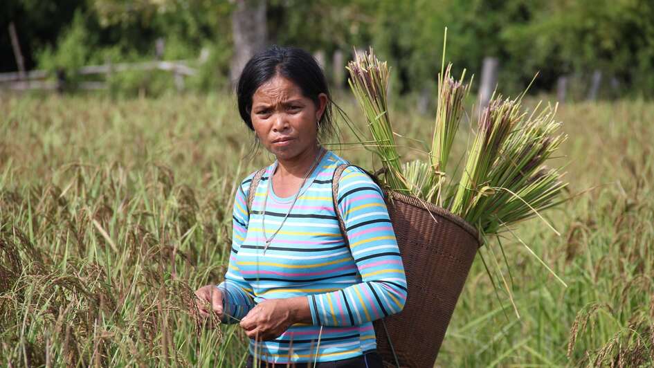 Frau mit Reisernte auf dem Rücken