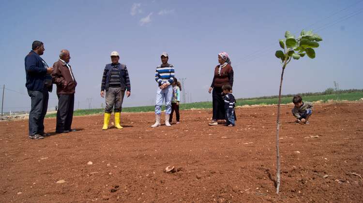 Bauernfamilie steht auf ihrem Feld Die syrische Familie Latif steht auf ihrem Feld in der Türkei