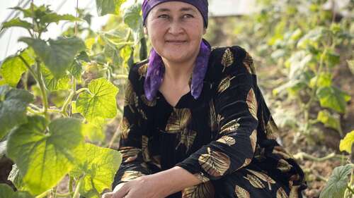 Eine Frau in einem Gewächshaus in Tadschikistan.