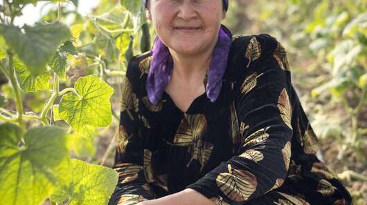 Eine Frau in einem Gewächshaus in Tadschikistan.