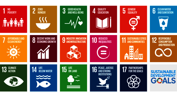 Information graphic: Sustainable Development Goals