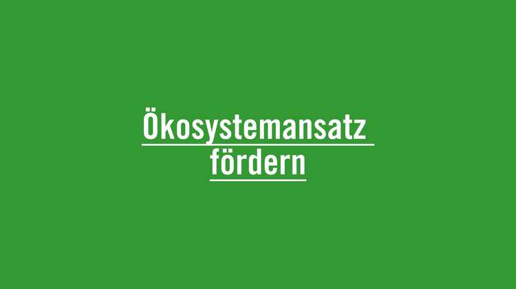 Agrarökologie verfolgt einen Ökosystemansatz und fördert die Unabhängigkeit von externen Betriebsmitteln wie Düngemittel und Pestiziden.
