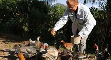 Eine Frau füttert Hühner