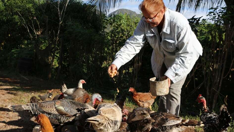 Eine Frau füttert Hühner