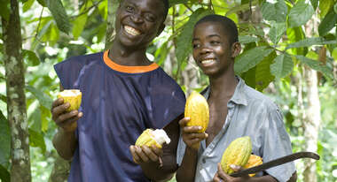 Zwei Kakaobauern präsentieren ihre Erzeugnisse.