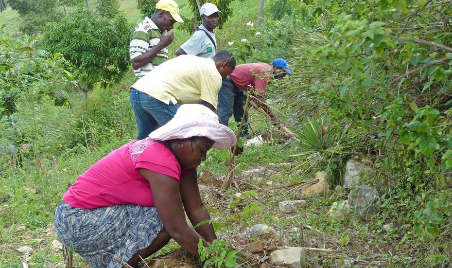 Frauen und Männer beim Befestigen eines Abhangs in Haiti.
