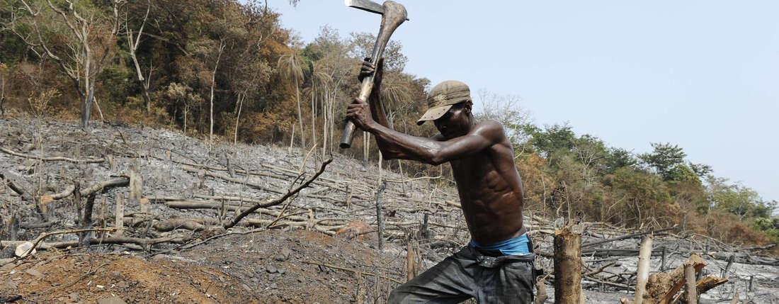Afrika Sierra Leone WAPFor Projekt der Deutschen Welthungerhilfe