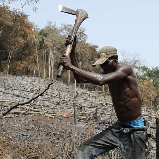 Afrika Sierra Leone WAPFor Projekt der Deutschen Welthungerhilfe