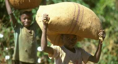 Zwei Kinderarbeiter tragen Säcke und Körbe mit geernteter Baumwolle auf dem Kopf, Mosambik.