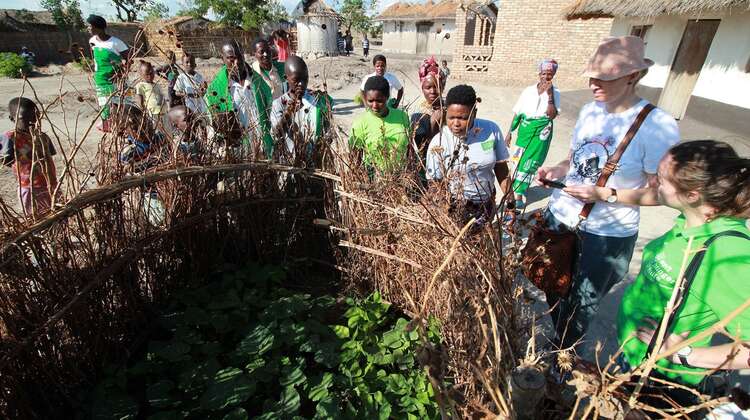 Unterstützung beim Anbau im Garten in einem Health Club in Malawi.