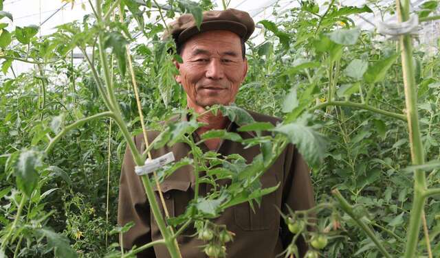 Landwirtschaft in Nordkorea