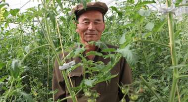 Landwirtschaft in Nordkorea