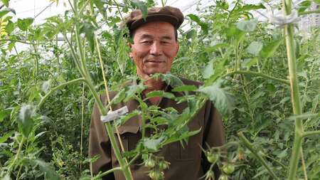 Landwirtschaft in Nordkorea