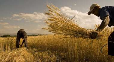 Milleniumsdorf Sodo Millennium Village Sodo