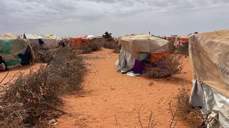 Eine Ansammlung von provisorischen Unterkünften.