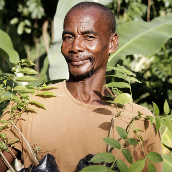 Ein Mann hält zwei Baumstzlinge in den Händen und lächelt in die Kamera