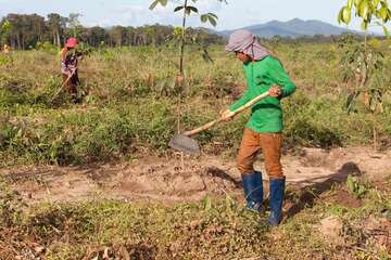 Zwei Männer arbeiten auf einem Feld