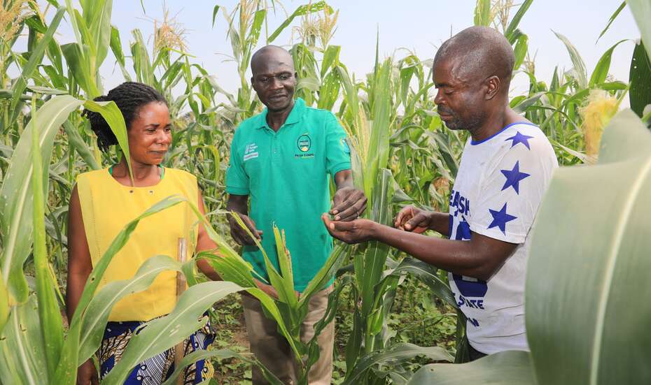 SDG Halbzeitbilanz: Die Weltgemeinschaft muss ihrer Verpflichtung nachkommen, einen fixen Teil des Bruttonationaleinkommens für die Entwicklungshilfe bereitzustellen. So können Projekte wie diese Wiedereingliederungsmaßnahme für Geflüchtete in Uganda gefördert werden.