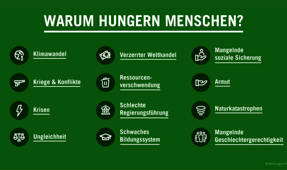 Infografik: Warum Menschen hungern