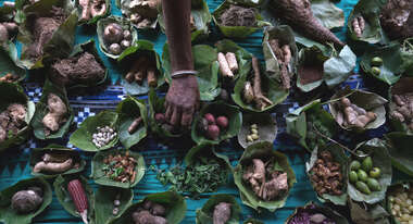 Detailaufnahme von verschiedenen unkultivierten Nahrungsmitteln aus dem Wald.