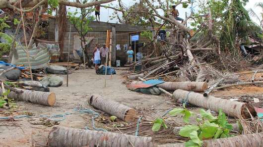 Umgestürzte Bäume und zerstörte Häuser.