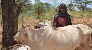 Kuhhirtin mit einer Ihrer Kühe.