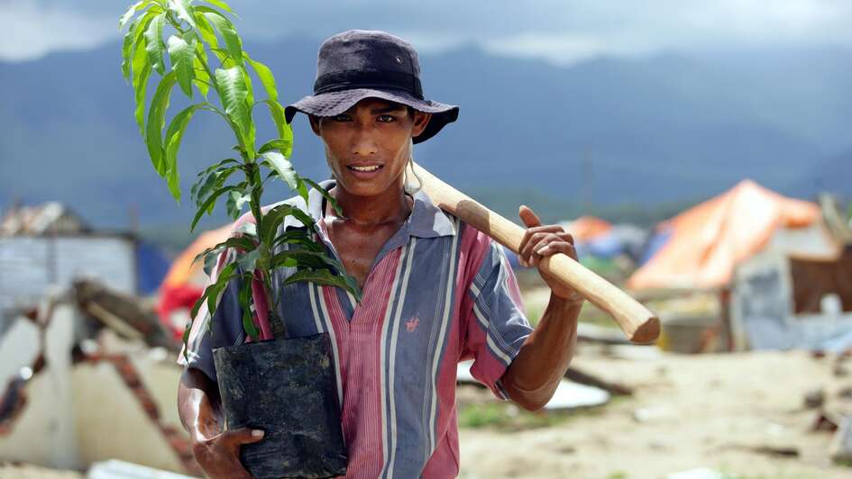 Mann mit Mangosetzlingen