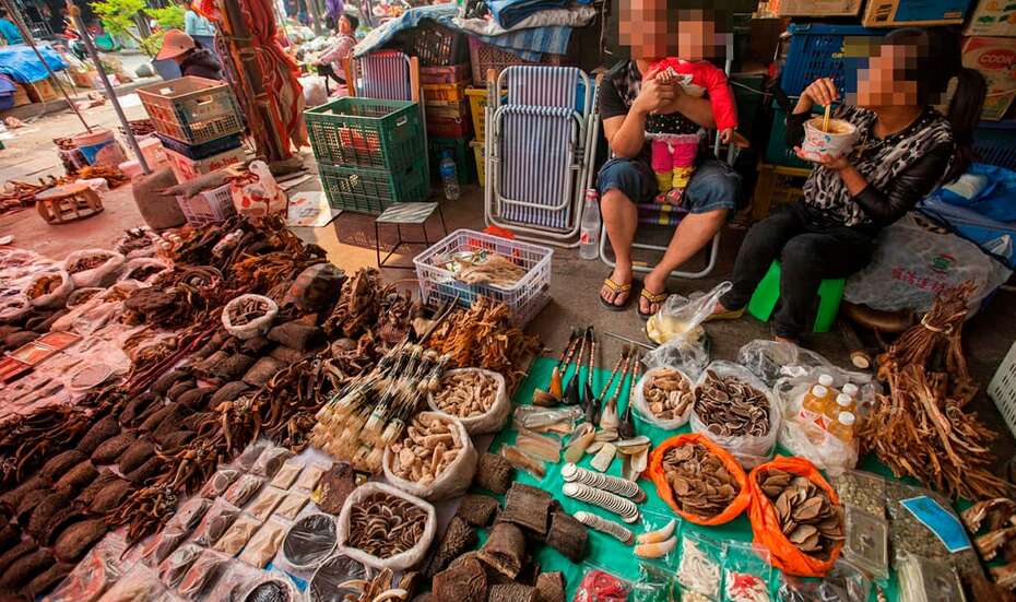 Stand auf dem Wildtiermarkt in Mong La, Myanmar.
