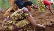 Eine Frau säht aus, Burundi Seedbanks.