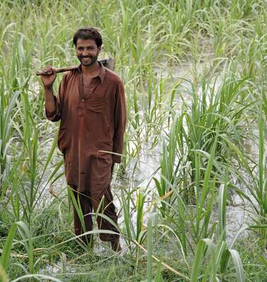 Sichere Lebensgrundlagen für die Menschen in Pakistan schaffen und Bodendegradation entgegenwirken. Jetzt mit Ihrer Spende die Menschen unterstützen.