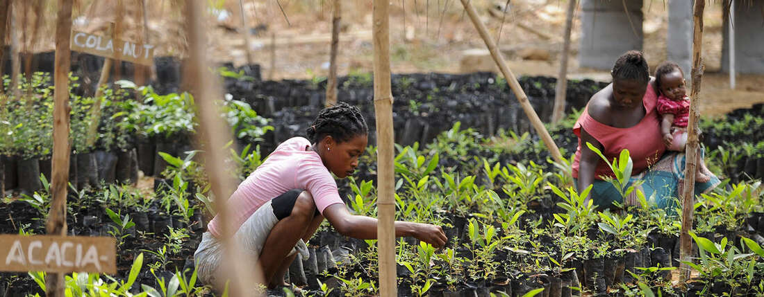 Afrika Sierra Leone WAPFor Projekt der Deutschen Welthungerhilfe