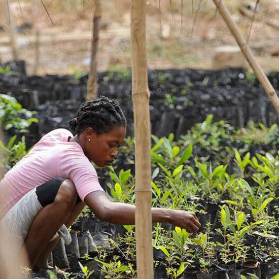 Afrika Sierra Leone WAPFor Projekt der Deutschen Welthungerhilfe